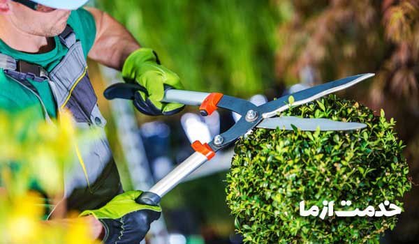 خدمات باغبانی در تهران