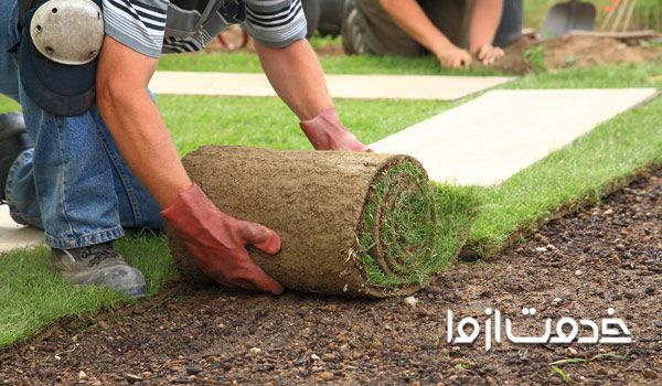 کار باغبانی در تهران