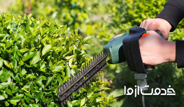 خدمات باغبانی غرب تهران