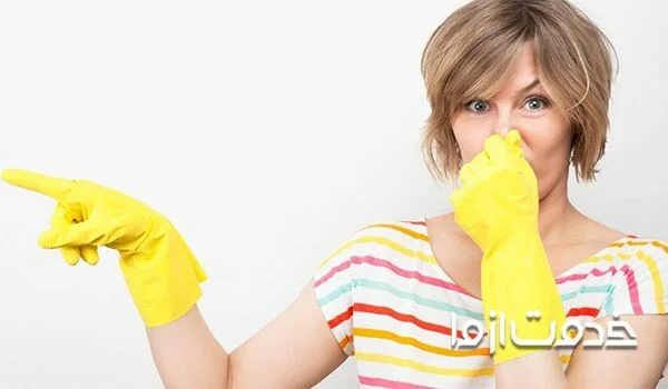 از بین بردن بوی سم کامن