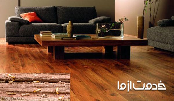 از بین بردن موریانه