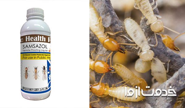 سم موریانه خانگی