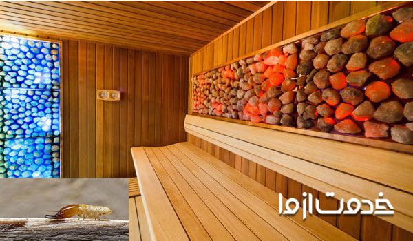 از بین بردن موریانه در منزل