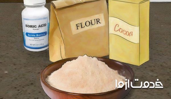 استفاده از اسید بوریک برای از بین بردن موریانه