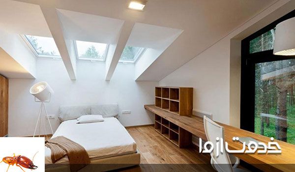 حذف رطوبت در از بین بردن موریانه 