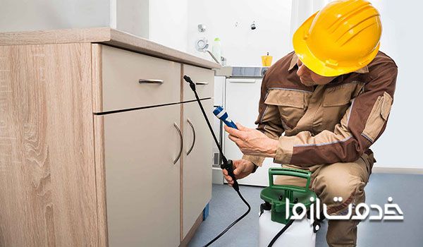 از بین بردن موریانه چوب