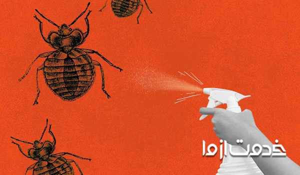 از بین بردن ساس با وایتکس