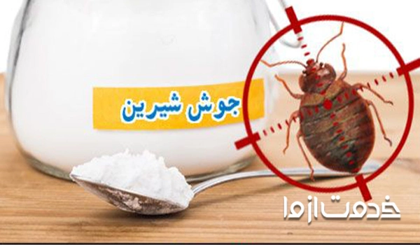 جوش شیرین، بهترین سم برای از بین بردن ساس