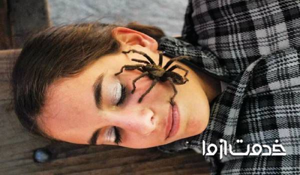 دفع حشرات خانگی