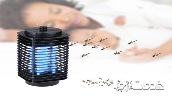 دستگاه از بین بردن حشرات | حشرات ریز سیاه در خانه