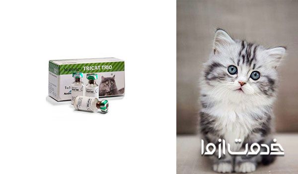 واکسن سه گانه گربه شامل چیست؟