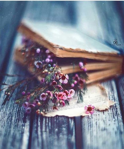 دانلود عکس پروفایل هنری