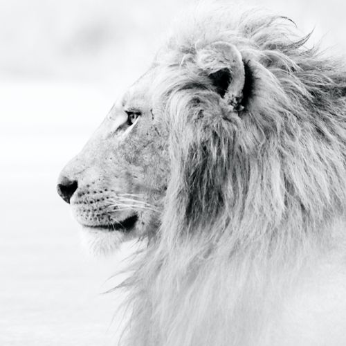 عکس پروفایل خاص پسرونه غمگین