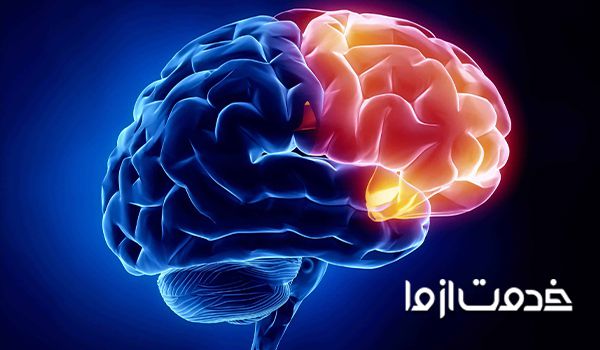 خواص دارچین برای مغز