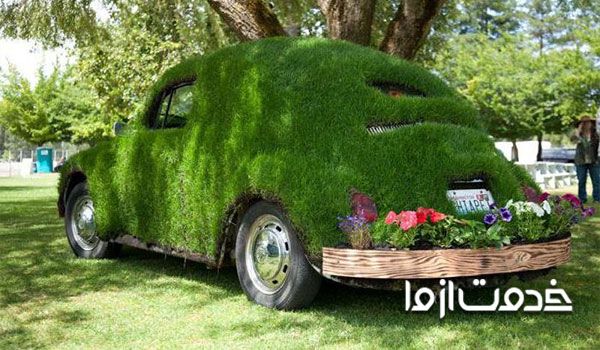 انواع بذر سبزه عید