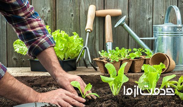 بهترین زمان کاشت نهال