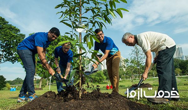 بهترین زمان کاشت درخت