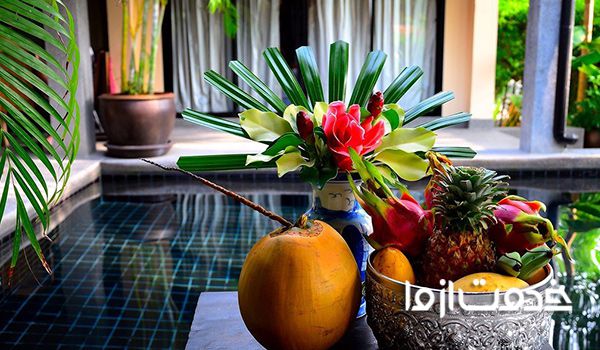 کاشت میوه در گلدان