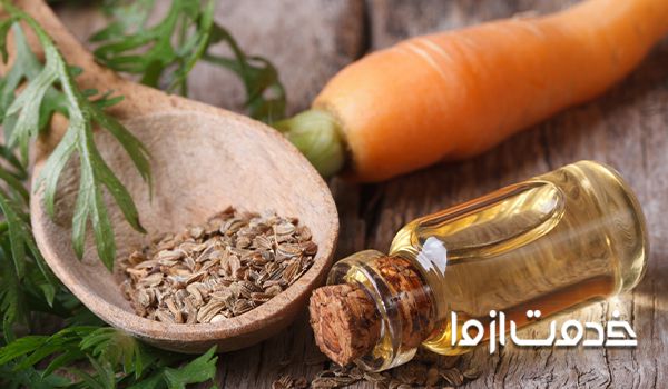 درمان نازک شدن مو در طب سنتی - استفاده روغن هویج و هسته ی انگور