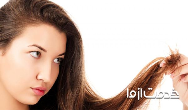 عوامل موثر در بروز خشکی مو