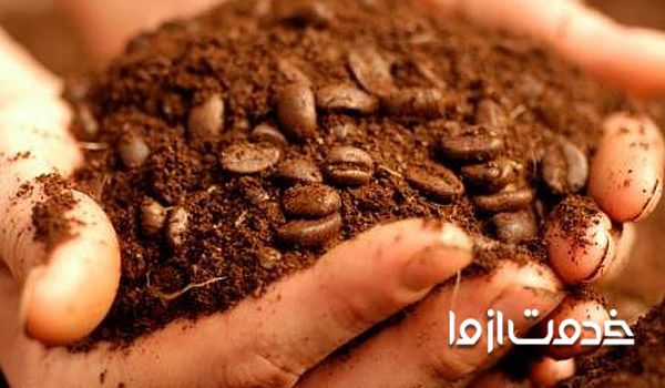 تهیه کود خانگی برای کاکتوس