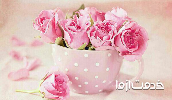 عکس گل رز محمدی