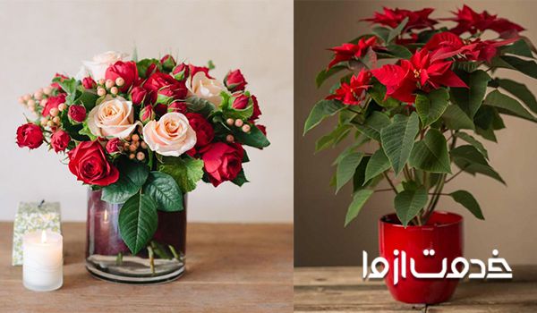 انواع و اقسام گل های قرمز
