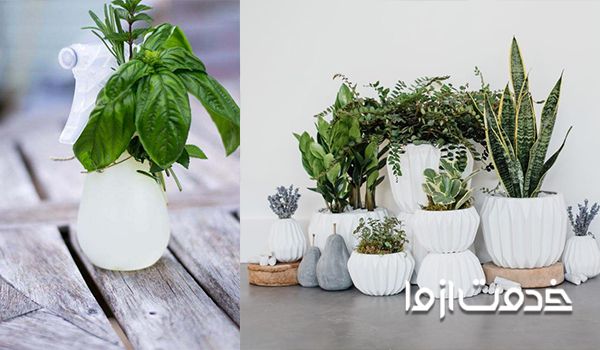 استفاده از اسپری شامپو بچه