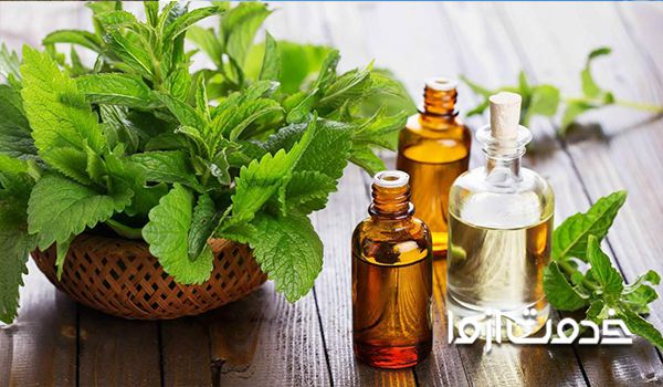 راهکارهای دفع موش از خانه با استفاده از روغن نعناع