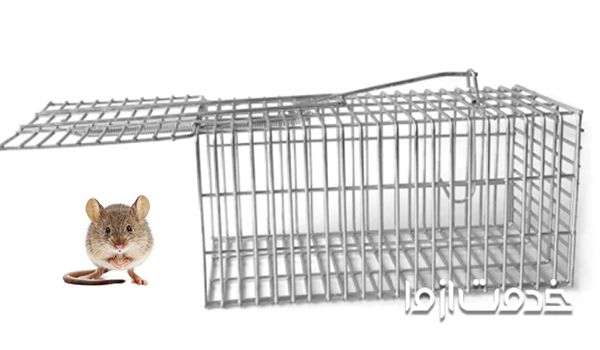 بهترین روش گرفتن موش