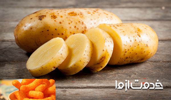 راههای کشتن موش در خانه