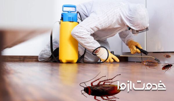 بهترین سم برای از بین بردن سوسک