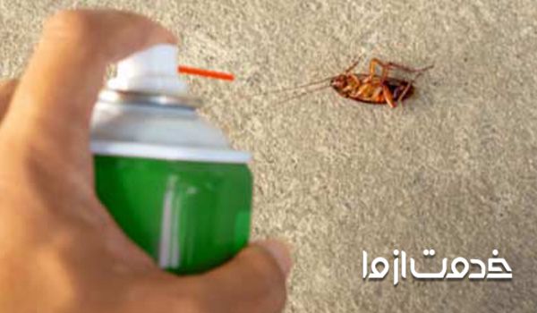 سوسک ها از چه چیزی بدشان می آید