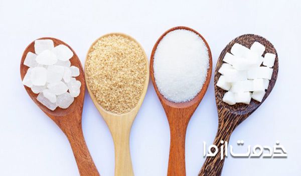 سوسک ها از کجا می آیند؟