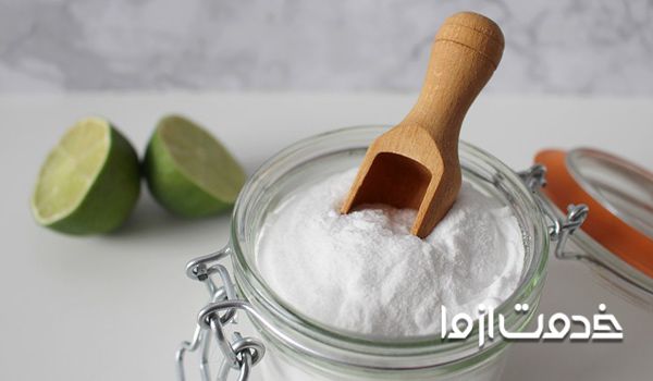 قویترین سوسک کش 