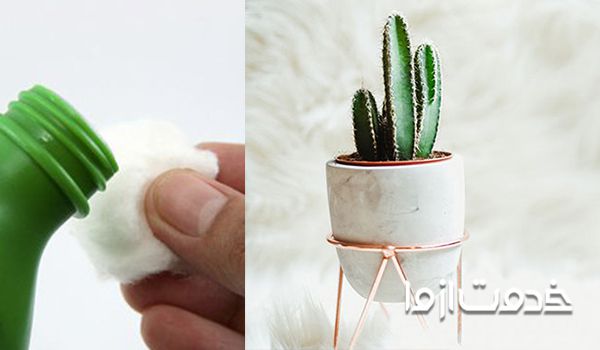 حشره کش‌های سیماتیک سمپاشی و شته کاکتوس