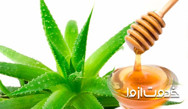 عسل و آلوئه ورا برای موی سر
