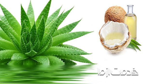 ماسک مو خانگی آلوئه ورا و روغن نارگیل