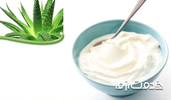 ماسک مو آلوئه ورا و ماست
