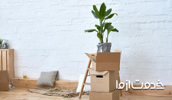 جابجایی گل و گیاه در اسباب کشی