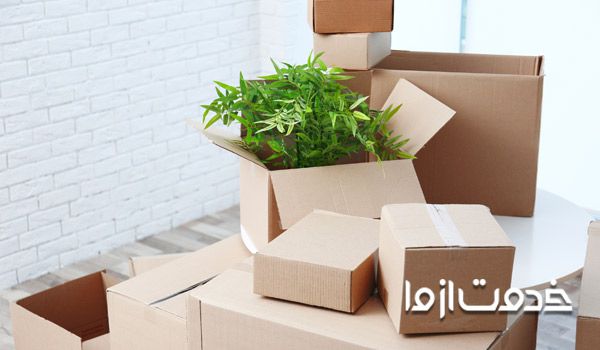 اسباب کشی گیاهان