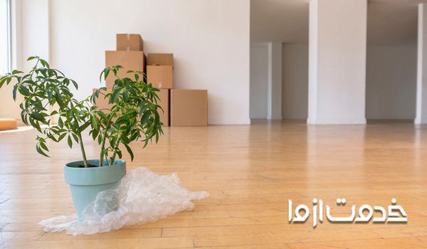 جابجایی گیاهان آپارتمانی در اسباب کشی