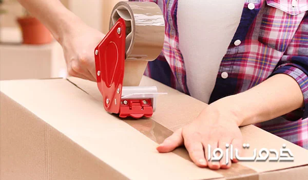 قرار دادن گل و گیاه درون کارتن