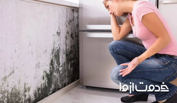 دلایل تغییر رنگ کاغذ دیواری