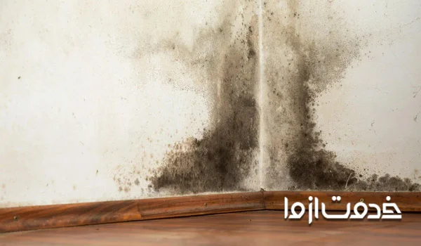 علت سیاه شدن کاغذ دیواری