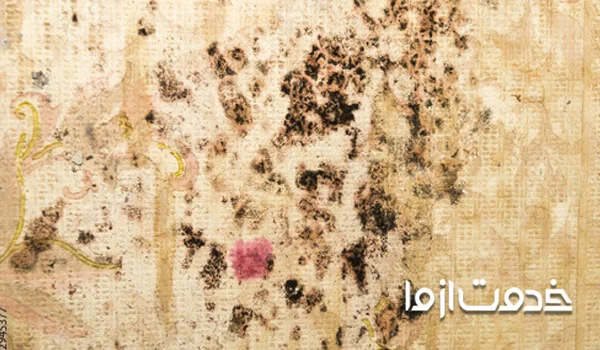 جلوگیری از تغییر رنگ کاغذ دیواری