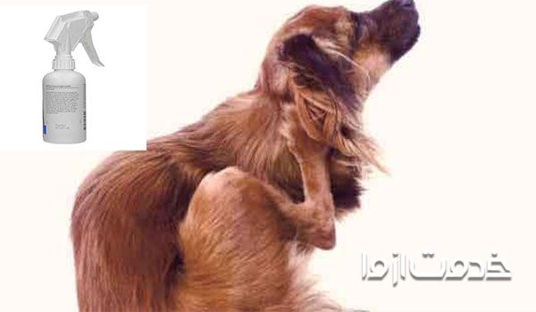 خاصیت اسپری ضد شپش سگ چیست؟