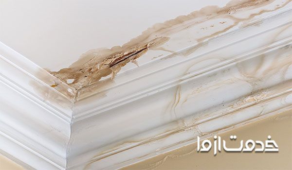 رفع نم کف توالت