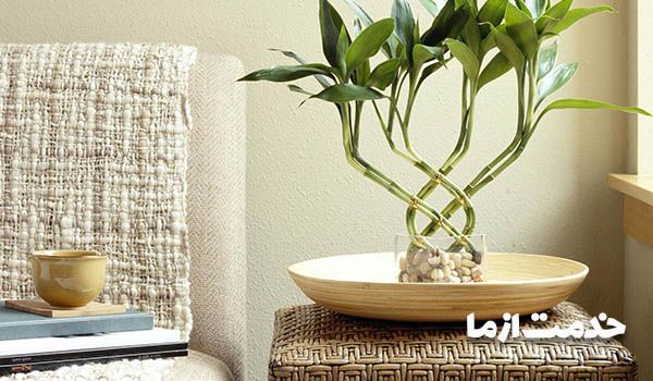 رنگ مبلمان در فنگ شویی