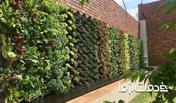 دیوار سبز (گرین وال) چیست؟